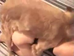 Wanting trollop getting her constricted cum-hole destroyed by an beast in this doggy position brute sex vid